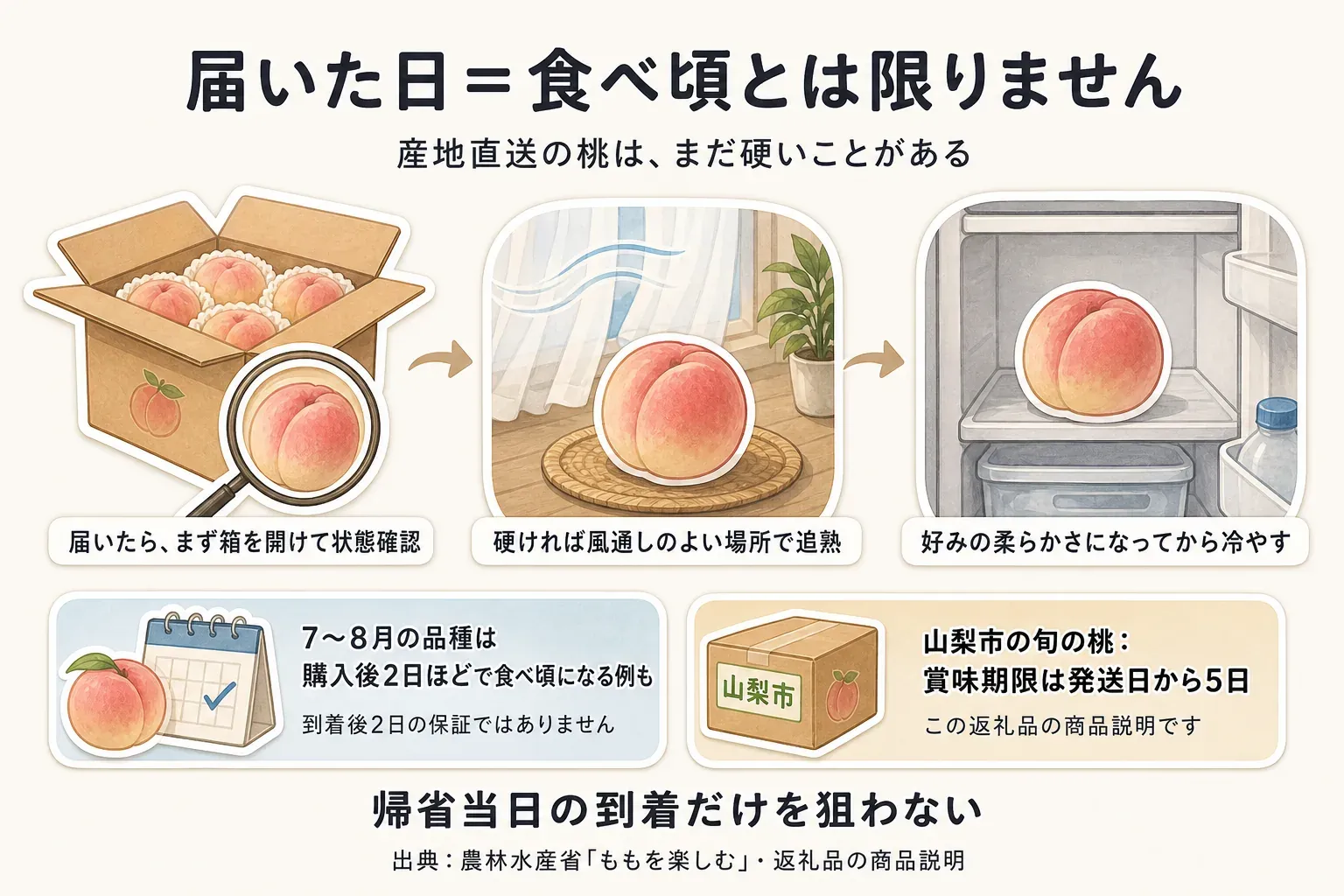 桃は届いた日が食べ頃とは限らないことを示す図。届いたらまず箱を開けて状態を確認し、硬ければ風通しのよい場所で追熟して好みの柔らかさになってから冷やす流れと、7〜8月の品種は購入後2日ほどで食べ頃になる例、山梨市の旬の桃は賞味期限が発送日から5日という商品説明を示している。出典は農林水産省「ももを楽しむ」と返礼品の商品説明