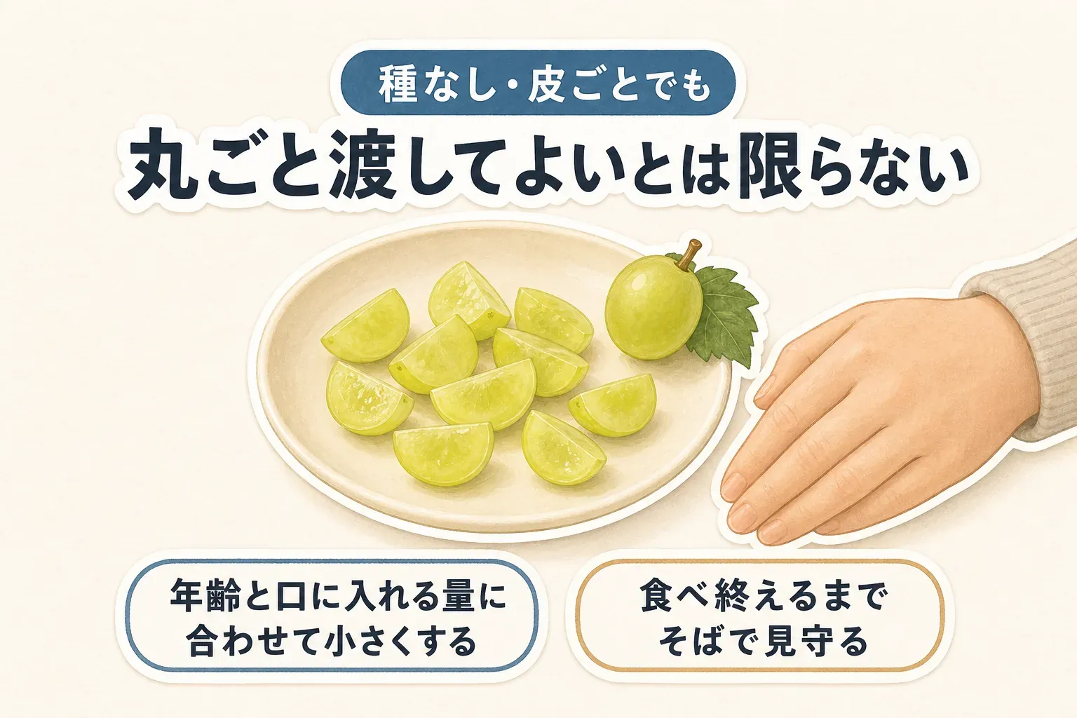種なしで皮ごと食べられるぶどうでも、丸ごとのまま子どもに渡してよいとは限らないことを示す図。小さく切ったぶどうを皿にのせ、年齢と口に入れる量に合わせて小さくし、食べ終えるまでそばで見守るよう案内している